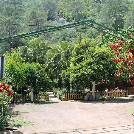 Oran Pansiyon Agac Evler Hotel Çıralı Luaran gambar
