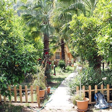 Oran Pansiyon Agac Evler Hotel Çıralı Luaran gambar