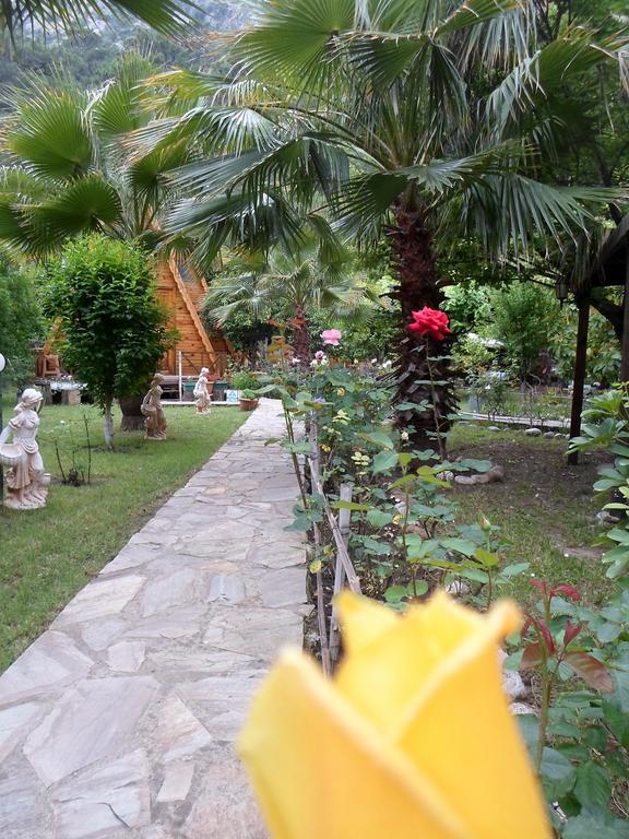 Oran Pansiyon Agac Evler Hotel Çıralı Luaran gambar
