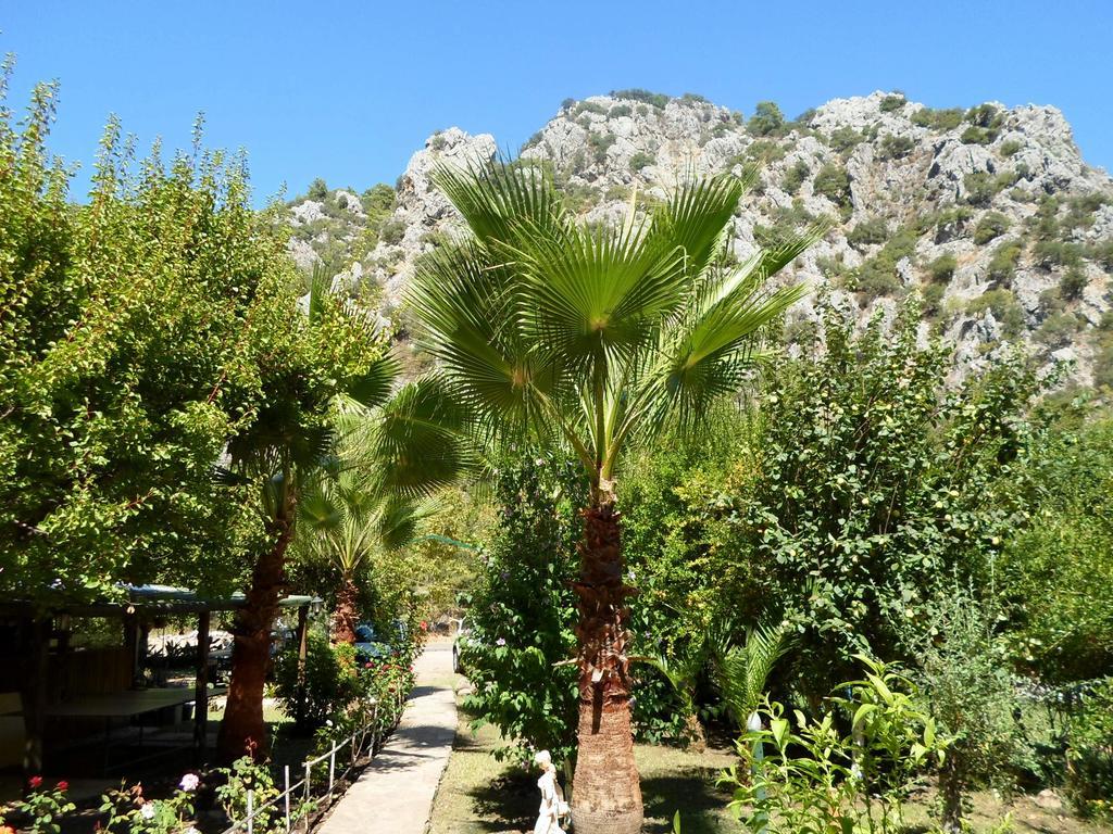 Oran Pansiyon Agac Evler Hotel Çıralı Luaran gambar