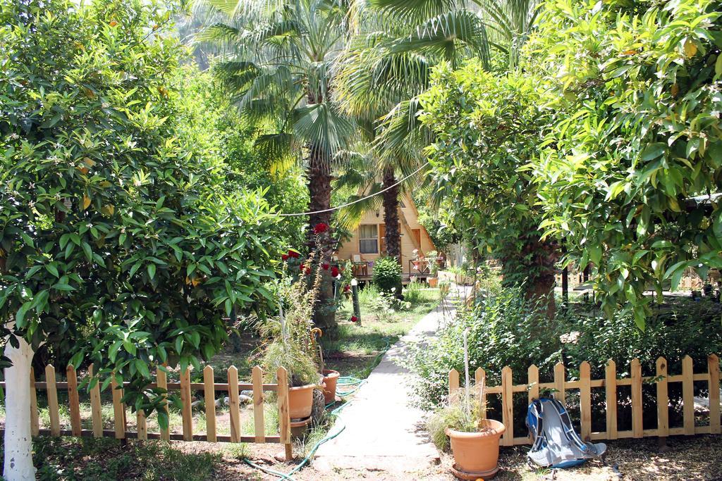 Oran Pansiyon Agac Evler Hotel Çıralı Luaran gambar
